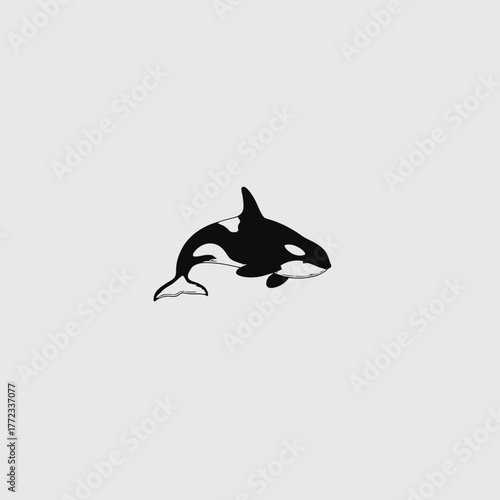 Stylized black and white killer whale illustration. Minimalist orca graphic art on a simple light grey background, marine animal icon.