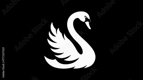 Graceful white swan silhouette illustration on a stark black background, elegant minimalist vector art of an aquatic bird.