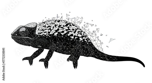 Adobe Illustrator Artwork