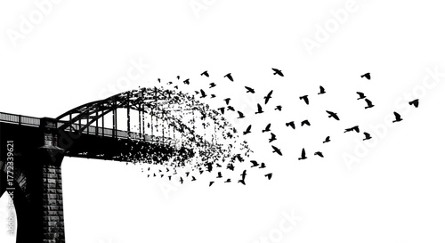 Adobe Illustrator Artwork