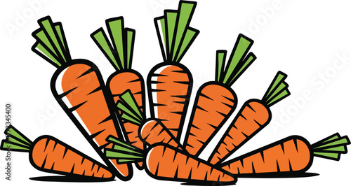 A Fan of Orange Carrots With Green Stalks On A White Background