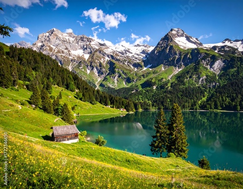Fototapeta Naklejka Na Ścianę i Meble -  Picturesque alpine lake with snow-capped mountains and lush greenery