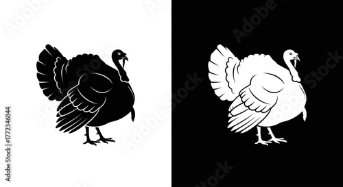 A contrasting black and white graphic illustration of a turkey, shown as a silhouette and an outline.