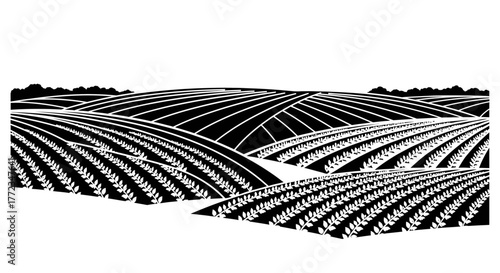 A black and white graphic illustration of rolling farm fields with contoured rows of crops.