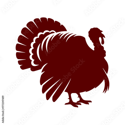 Thanksgiving turkey vector, thanksgiving vector 