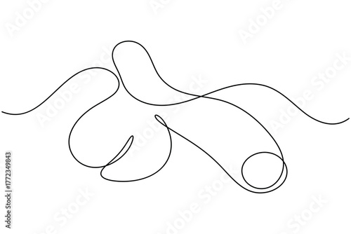 Human reproductive organ penis continuous one line drawing on white background minimalist anatomy organ outline vector illustration