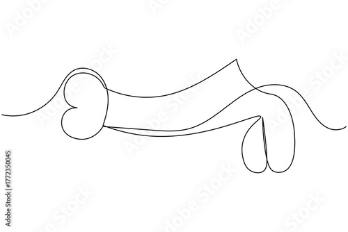 Human reproductive organ penis continuous one line drawing on white background minimalist anatomy organ outline vector illustration