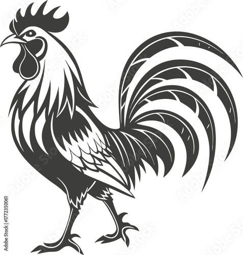 Detailed sketch of a rooster isolated on white background