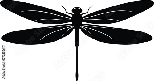 Dragonfly silhouette illustration, black and white vector art, symmetrical insect design with detailed wings and slender