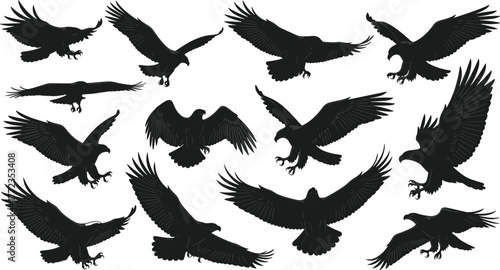 Eagle silhouette vector, flying bird illustration, dynamic avian motion, black feathered wings, landing pose study, cad drawing flat vector illustration