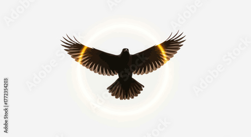 Adobe Illustrator Artwork