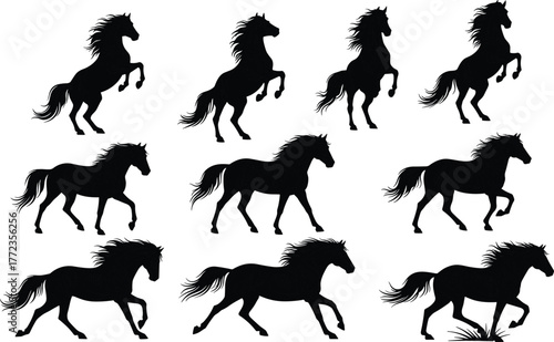 Horse silhouette vector, dynamic horse poses, galloping horse motion, rearing horse illustration, equine movement study