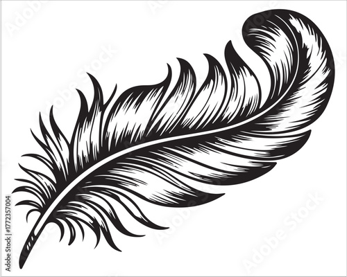 Detailed Feather Drawing in Black and White