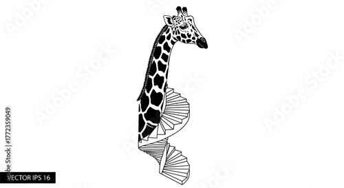 Adobe Illustrator Artwork