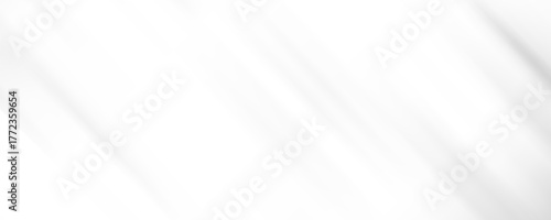 modern white and gray abstract background with elegant bright diagonal lines. eps 10