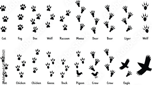 Animal footprint chart vector, pet and bird track icons, black silhouette grid, educational reference for wildlife, zoology, camping, hiking, nature design