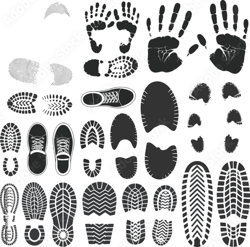 Biometric footprint chart vector, handprint, shoe sole, animal track icons, black silhouette grid for forensic, tracking, security, nature, identification