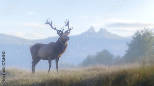 Big deer animal stand on hill landscape illustration wallpaper.