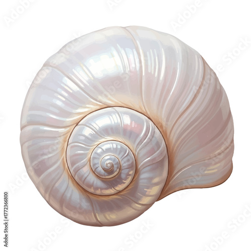 Graceful seashell illustration with soft contours and a luminous pearly finish.