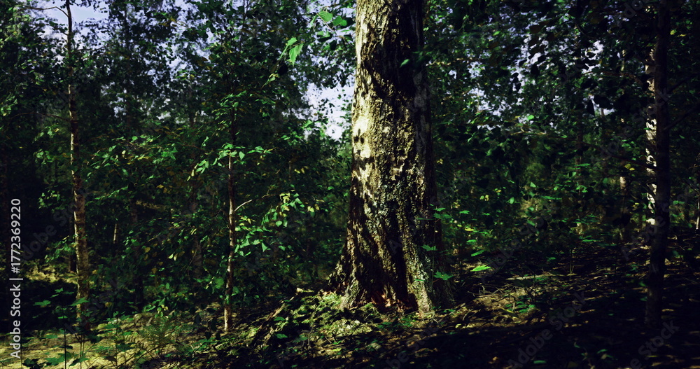 Fototapeta premium A serene forest showcasing tall trees with sunlight filtering through leaves. The rich greenery creates a peaceful atmosphere, inviting exploration and reflection.