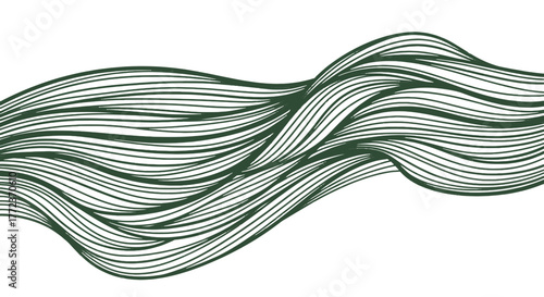Graceful dark green flowing lines create a serene, dynamic abstract pattern on a pristine white canvas