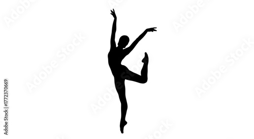 Adobe Illustrator Artwork