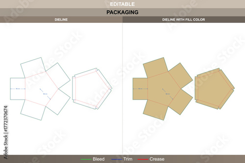 Polygonal box with lid dieline designed through vector detail improving printing quality and packaging balance well defined die line layout maintains geometric edge precision