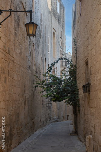 Scorcio di Medina - Mdina - Malta