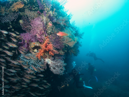 Wreck covered colorful soft coral