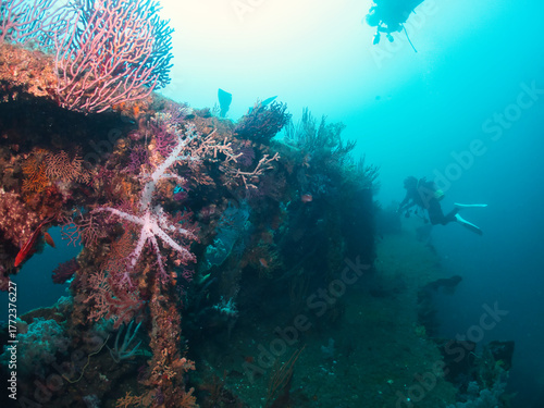 Wreck covered colorful soft coral