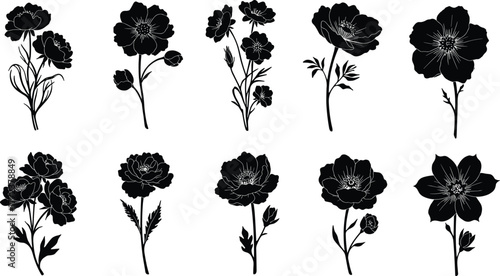 Beautiful wildflower silhouette collection, floral vector design, decorative black flower illustration set for botanical art, nature decor, and printing