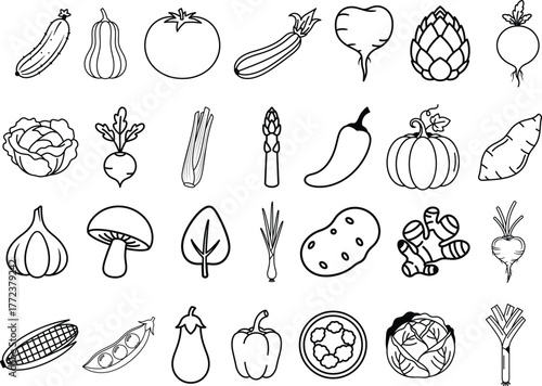 Collection of hand drawn black and white line art illustrations of various fresh vegetables and fruits isolated on white background