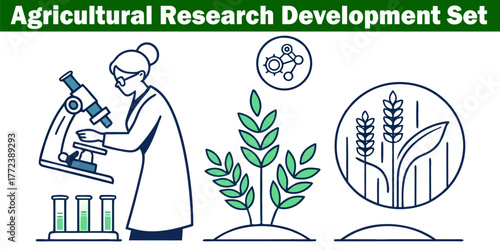 Scientific Agricultural Research Process: Agronomy, Farming, and Biotechnology Illustration with Scientist Examining Plants and Data in Laboratory Settings.