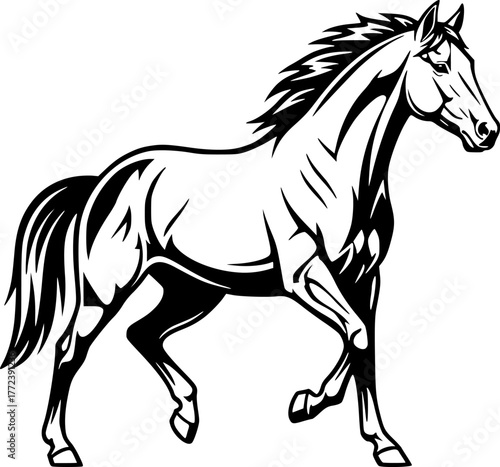 Horse - High Quality Vector Logo - Vector illustration ideal for T-shirt graphic
