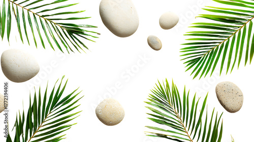 Tropical palm leaves and smooth stones arranged on transparent background