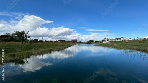 Leon, Viajes y Setas