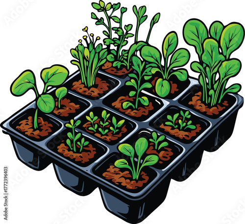 Seedling tray with young vegetable sprouts growing in healthy soil, fresh and green