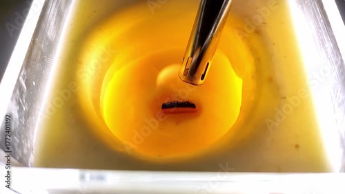 Lighting a decorative scented candle with a lighter