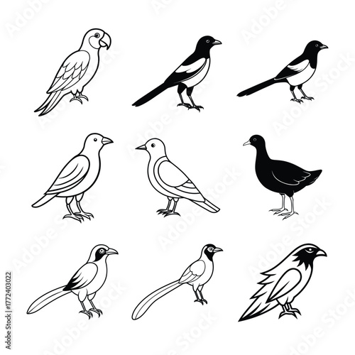 Birds Vector Illustration Set Outline Drawing Avian Wildlife Graphic