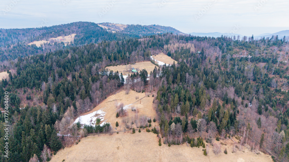Φωτογραφία A tranquil winter panorama of Beskid Mały in southern Poland, where snowy meadows meet evergreen forests and rolling mountain hills under a serene, cloud-streaked sky
