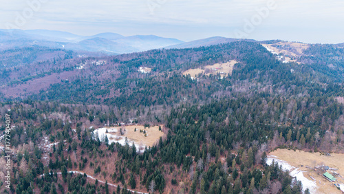 A tranquil winter panorama of Beskid Mały in southern Poland, where snowy meadows meet evergreen forests and rolling mountain hills under a serene, cloud-streaked sky.