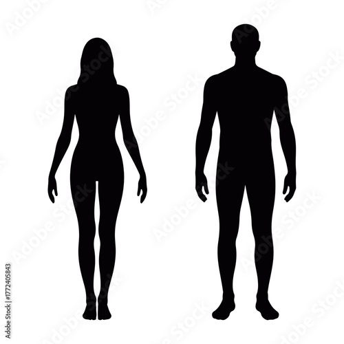 Black silhouette of male and female full-body vector illustration, showing proportional anatomical reference in elegant minimalist style for fitness, wellness, and design concepts
