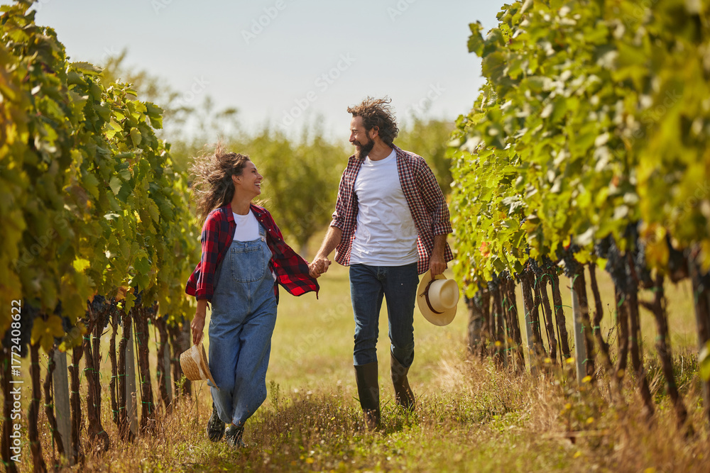Fototapeta premium A couple walks hand in hand through rows of grapevines under the warm sun, enjoying the beauty of their vineyard and the work of their family business in wine production.