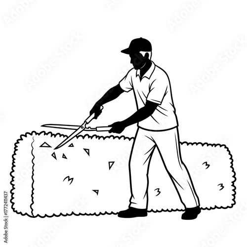 Focused Gardener Expertly Trimming a Green Hedge with Large Manual Shears Outdoors