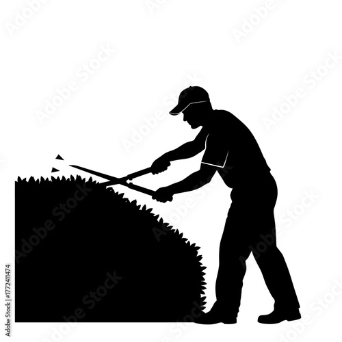 Silhouette of a Skilled Gardener Precisely Trimming an Ornamental Hedge with Hand Shears