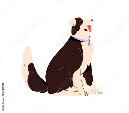 Cute border collie sits with closed eyes and tongue out. Happy herding dog with collar. Fluffy sheepdog, funny puppy, joyful doggy. Pet smiles. Flat isolated vector illustration on white background