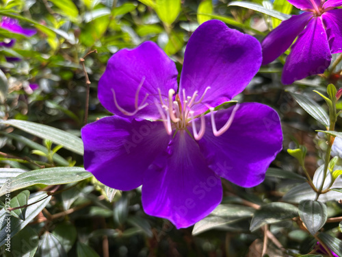 kerala god's own country