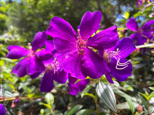 kerala god's own country