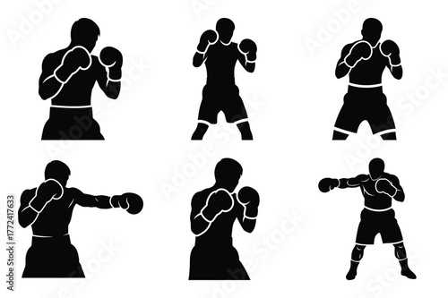 boxer vector icon set