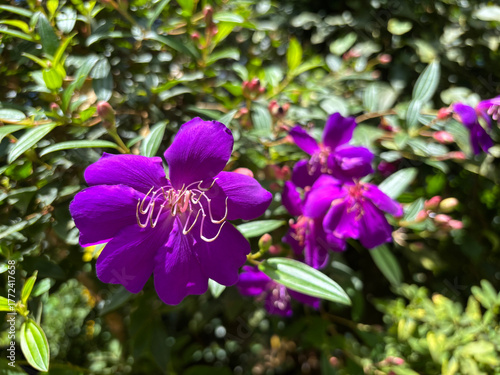 kerala god's own country